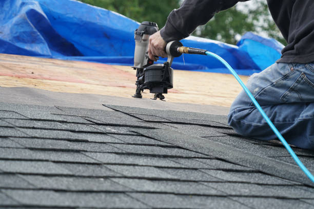 Roof Gutter Cleaning in Willow Grove, PA